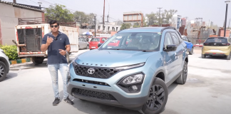 Safari Persona Adventure