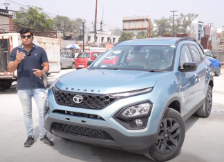 Safari Persona Adventure