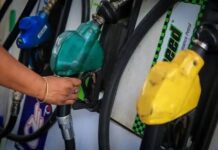 From Petrol to Ethanol: Why India Is Betting Big on E20 Despite Backlash