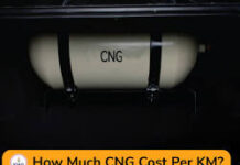 The 15,000Km Rule: The mileage beyond which CNG car helps you save
